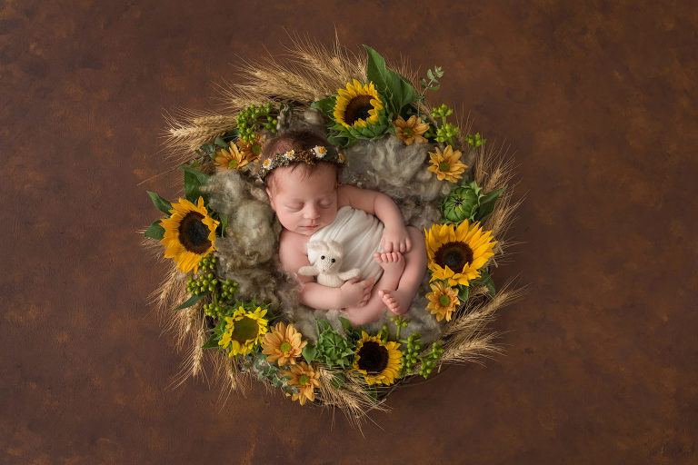 Long Island Newborn Photographer