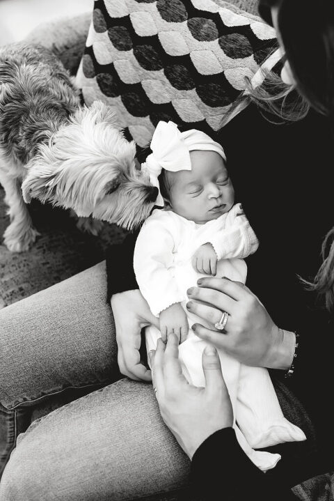 black and white newborn photography